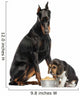 Doberman Pinscher Sittingand Looking down at a Beagle Puppy 