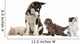 Husky Malamute Puppy Sitting and Surrounded by Kittens 