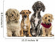 Group of Crossbreed sitting and looking 