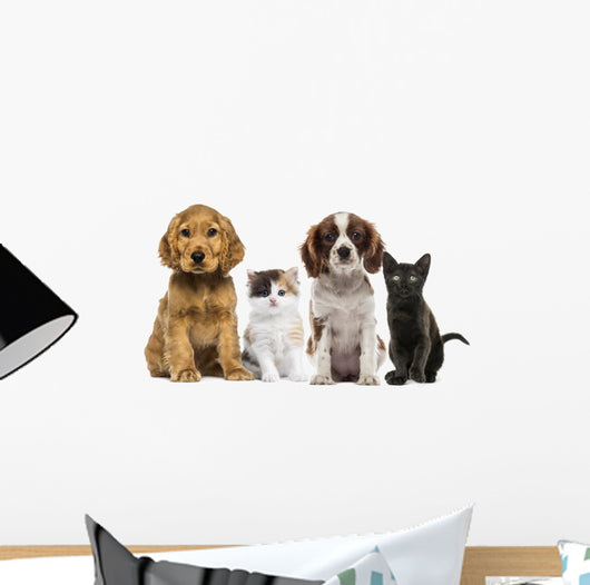 Group of Kittens and Dogs Wall Decal