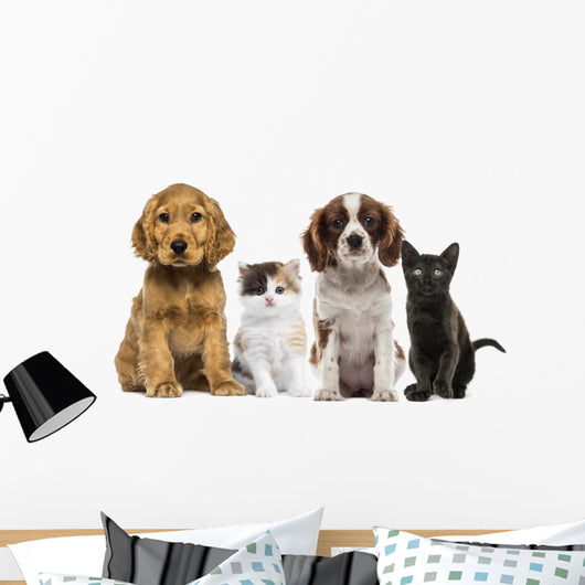 Group of Kittens and Dogs Wall Decal