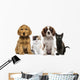 Group of Kittens and Dogs Wall Decal
