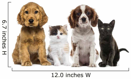 Group of Kittens and Dogs Wall Decal