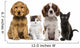 Group of Kittens and Dogs Wall Decal