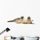 Two Common Seals Lying and Looking 