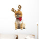 Groomed Pomeranian Dog Sitting and Wearing Reindeer Antlers Head Wall Decal