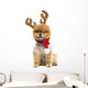 Groomed Pomeranian Dog Sitting and Wearing Reindeer Antlers Head Wall Decal