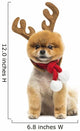 Groomed Pomeranian Dog Sitting and Wearing Reindeer Antlers Head Wall Decal