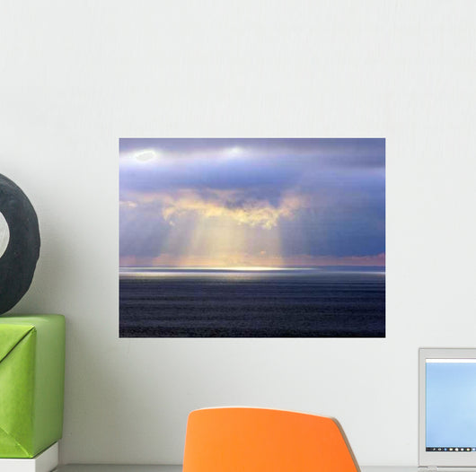 Rays Wall Decal