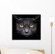 From Darkness Muzzle Cat Wall Decal