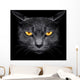 From Darkness Muzzle Cat Wall Decal