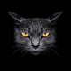 From Darkness Muzzle Cat Wall Decal