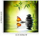 exclusive delicate concept - butterfly on water in garden 