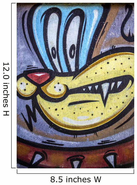 Graffiti Wall Mural