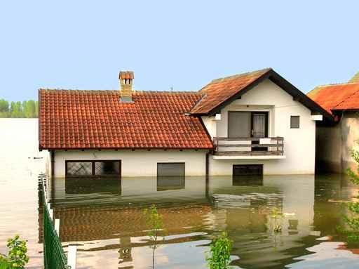 Flood Wall Decal Design 3