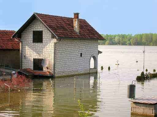 Flood Wall Decal Design 2