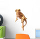 Chameleon Wall Decal