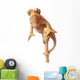 Chameleon Wall Decal