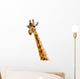 Isolated head of chewing giraffe Wall Decal
