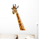 Isolated head of chewing giraffe Wall Decal