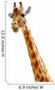 Isolated head of chewing giraffe Wall Decal