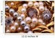 Jewelry treasure 
