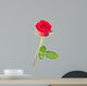 rose isolated Wall Decal