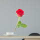 rose isolated Wall Decal