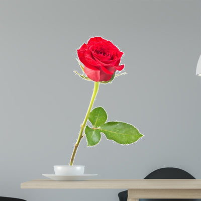 Rose Wall Decal shown on a wall