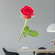rose isolated Wall Decal