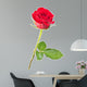 rose isolated Wall Decal
