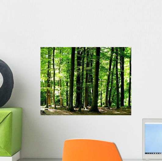 Forest Wall Decal Design 1