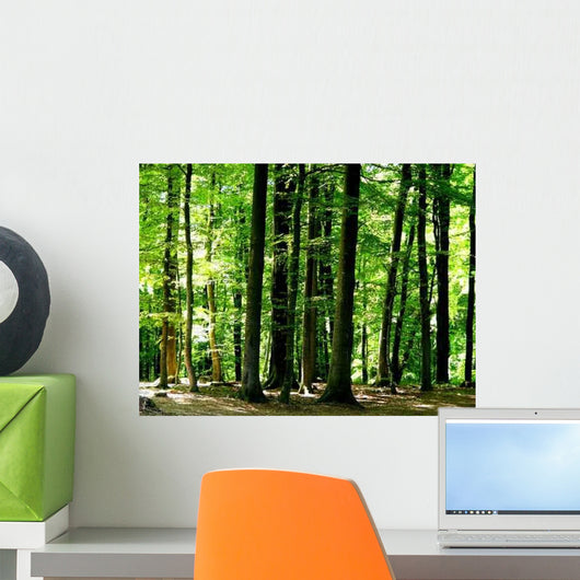 Forest Wall Decal Design 1