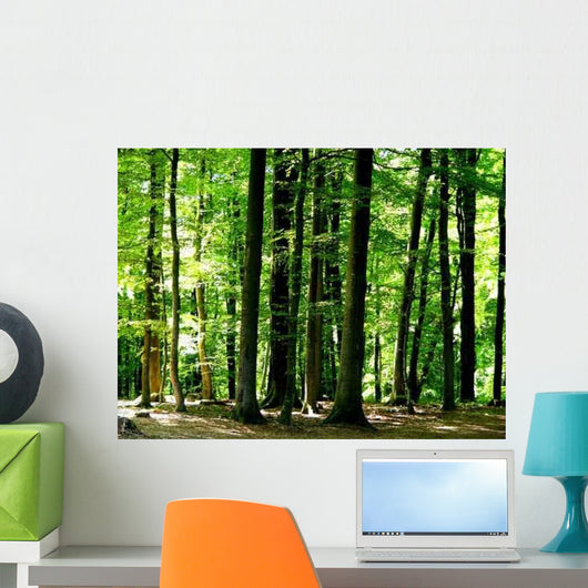 Forest Wall Decal Design 1