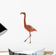 Red Flamingo 