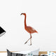 Red Flamingo 