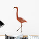 Red Flamingo 