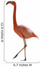 Red Flamingo 