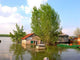 Flood Wall Decal Design 1