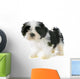 Puppy Shitzu Wall Decal