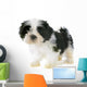 Puppy Shitzu Wall Decal