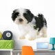 Puppy Shitzu Wall Decal