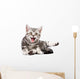 Tabby Kitten Isolated Wall Decal