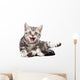 Tabby Kitten Isolated Wall Decal