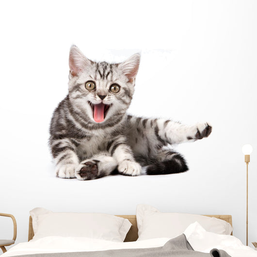 Tabby Kitten Isolated Wall Decal