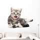 Tabby Kitten Isolated Wall Decal