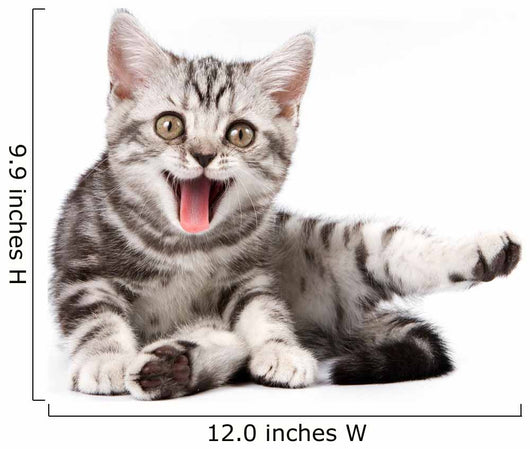 Tabby Kitten Isolated Wall Decal