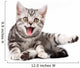 Tabby Kitten Isolated Wall Decal