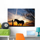 woman and horse Wall Mural