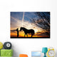 woman and horse Wall Mural